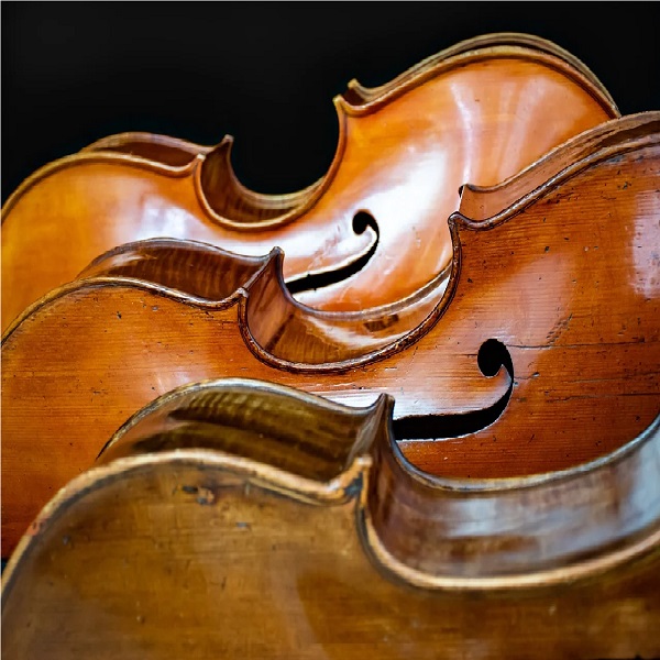 3 violons