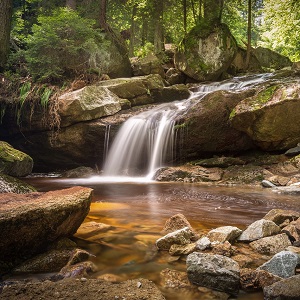 chute d'eau dans une forêt