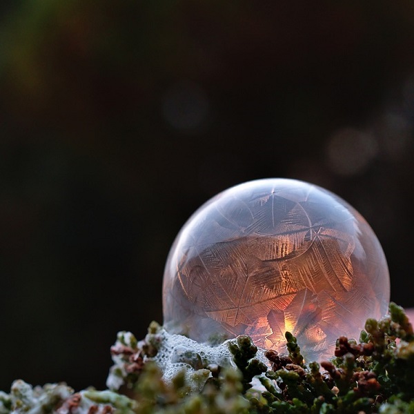 feuilles dorées dans une bulle de savon