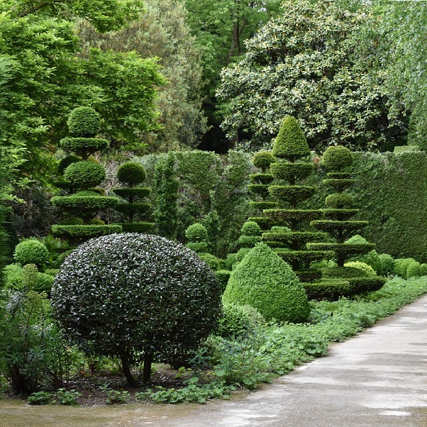 taille au jardin