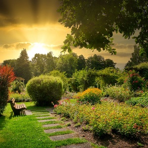 jardin au lever du soleil