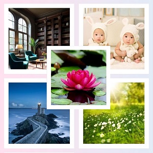 collection de photos de nos carnets