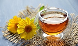 deux staues d'anges blancs