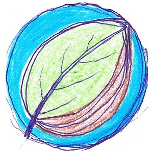 dessin d'une feuille verte