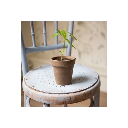 ateliers-jardin-plantes-cuisine-300_1771633667