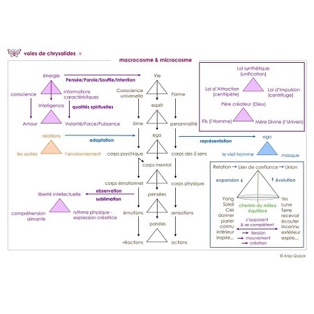 macrocosme-microcosme