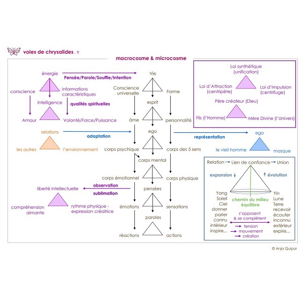 schéma macrocosme & microcosme