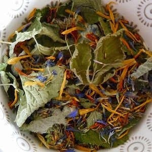 plantes séchées pour tisane