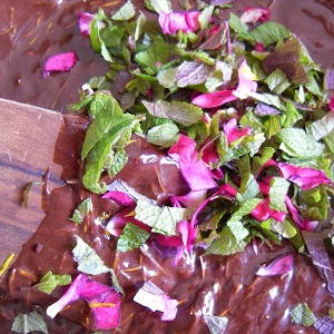 pâte d'un moelleux au chocolat aromatisé aux plantes