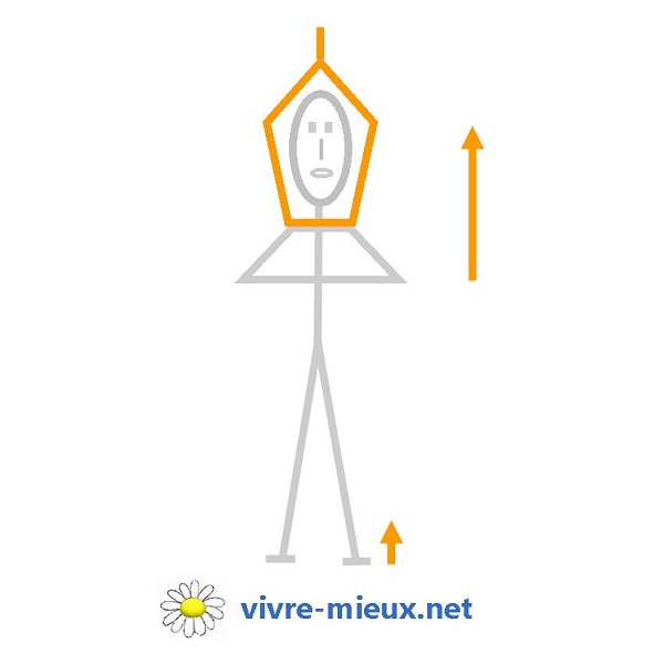 Posture de yoga • S'étirer vers le ciel